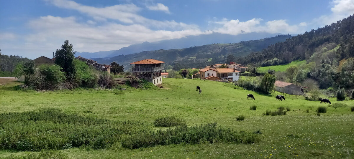Camino Landscape
